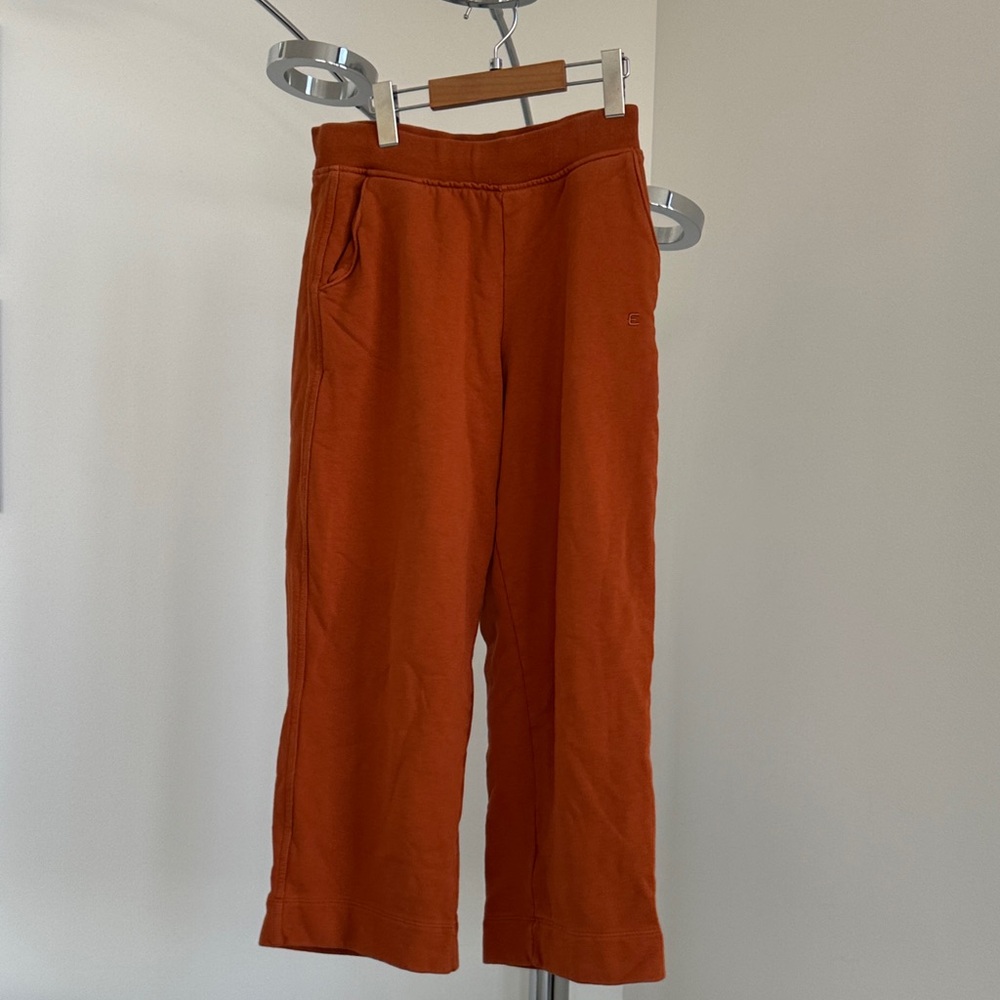 Everlane Burnt Orange Organic Cotton Sweatshirt